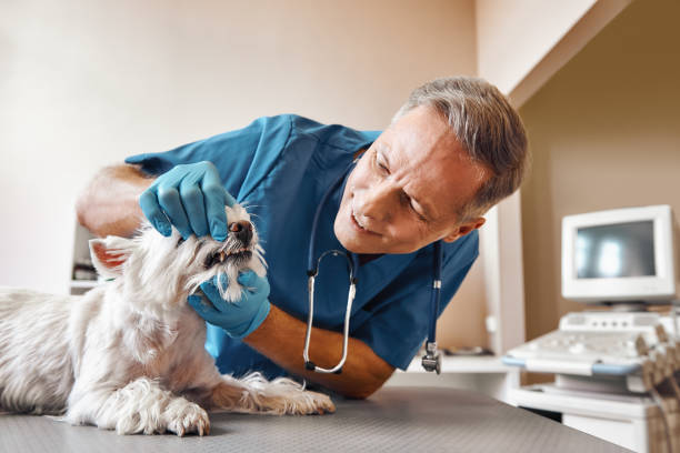 Best Emergency Tooth Extraction in Tinton Falls, NJ